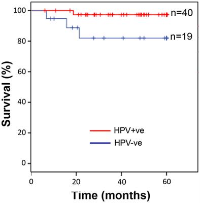 Increased Abundance of Tumour-Associated Neutrophils in HPV-Negative Compared to HPV-Positive Oropharyngeal Squamous Cell Carcinoma Is Mediated by IL-1R Signalling